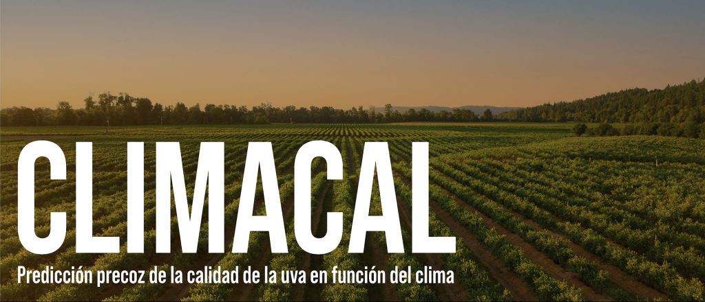 CLIMACAL, predicción de la calidad de la uva
