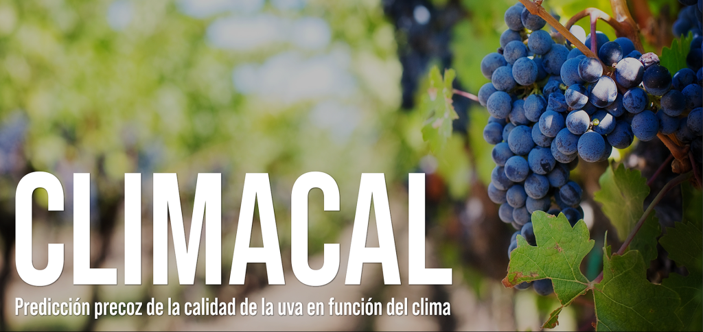 CLIMACAL, el big data al servicio de las bodegas